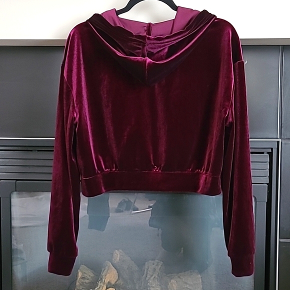 Bluenote Burgundy Velvet Cropped Zipper Hoodie, Size S - Picture 2 of 7